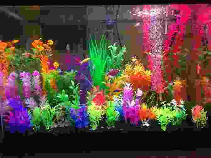 A Beautiful Aquarium With Lush Plants And Colorful Fish Saltwater Aquarium Models: Recipes For Creating Beautiful Aquariums That Thrive