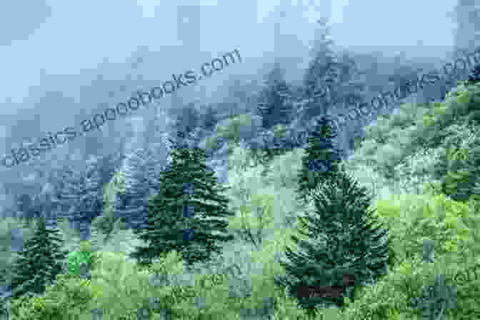 A Breathtaking View Of Artemisia's Verdant Forests And Towering Mountains. Attack Of The Acrocanthosaurus (The Worlds Of Artemisia 7)