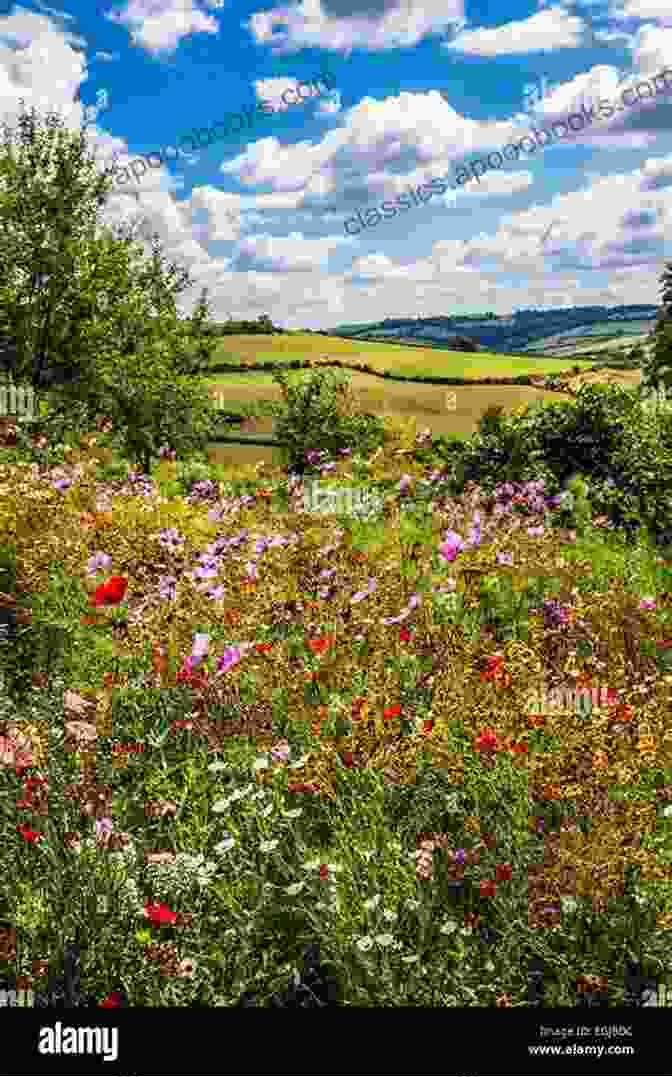 A Breathtaking View Of The Rolling Hills And Wildflowers Surrounding The Farmhouse Escape To The French Farmhouse: The #1