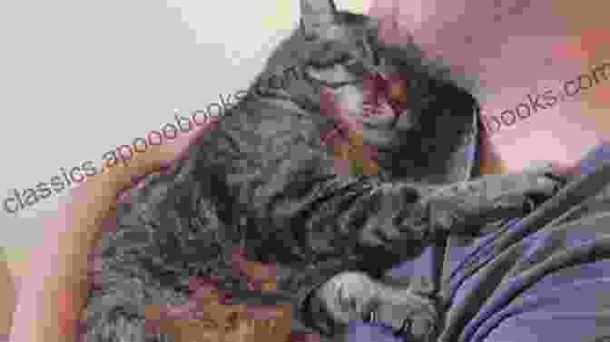 A Cat And Its Owner Are Cuddling On A Couch. Cat Friend Or Foe?: A About My Cat And Only My Cat