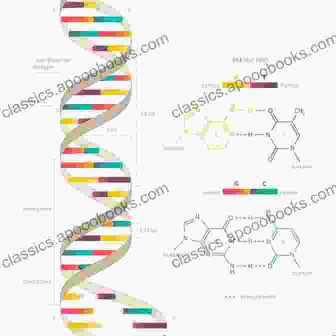 A Double Helix, The Structure Of DNA Riding The Double Helix: The Adventure Begins