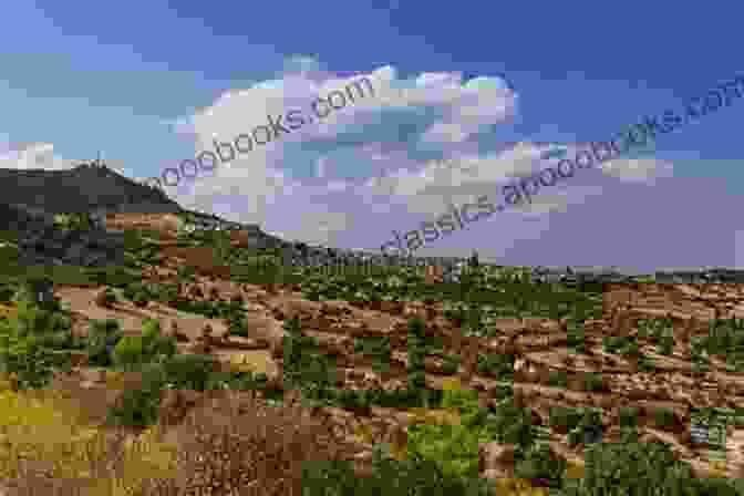 A Panoramic View Of The Cypriot Landscape, With Mountains, Fields, And A Coastline In The Distance Beyond A Divided Cyprus: A State And Society In Transformation