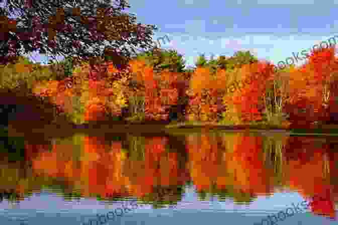 A Serene Autumn Lake Reflecting The Changing Colors Of The Trees Dear October: Poems Mary Morris