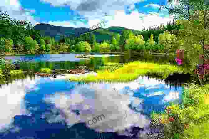 A Serene Lake Surrounded By Lush Greenery, Reflecting The Colors Of Dusk Hopatcong Vision Quest Steve Lindahl