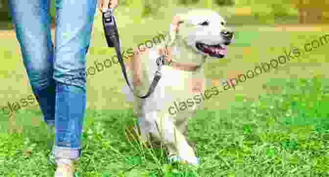 A Young Child Enthusiastically Training Their Adorable Puppy On A Leash In A Park How To Train Your Puppy For Kids: Step By Step Training Guide Tips And Tricks To Raise Your Puppy In Fun And Easy Ways