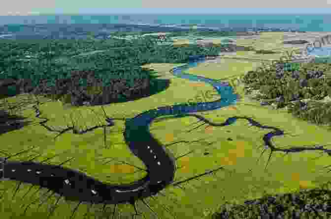 Aerial View Of A Meandering River Flowing Through A Lush Forest. Shaping The Developing World: The West The South And The Natural World