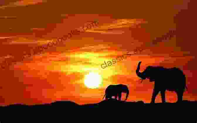 An Elephant Standing In The Golden Light Of Sunset, Its Trunk Raised As If In Prayer. The Souls Of Animals Gary Kowalski