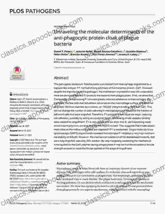 An Immuno Histopathological Study: Unraveling The Molecular Determinants Of Disease Book Cover Preeclampsia/Eclampsia Part 2: Inflammation Of Mesenteric Adipose Tissue And Lymph Nodes: An Immuno Histopathological Study