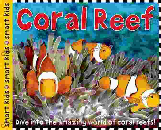 Authors Exploring A Coral Reef, Symbolizing The Book's Literary And Scientific Exploration Mediterranean Cold Water Corals: Past Present And Future: Understanding The Deep Sea Realms Of Coral (Coral Reefs Of The World 9)