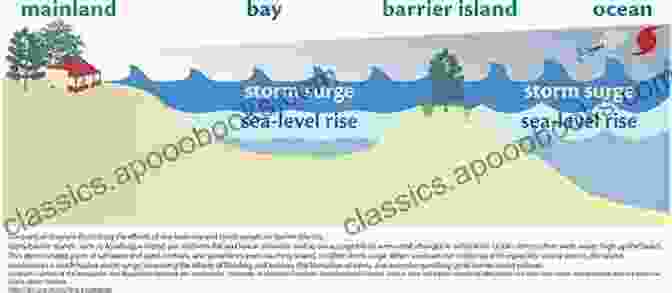 Barrier Islands Protect The Mainland From Storm Surges. Australian Coastal Systems: Beaches Barriers And Sediment Compartments (Coastal Research Library 32)