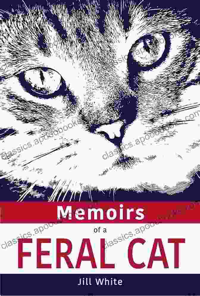 Book Cover Of Memoirs Of Feral Cat Curious Tail, Featuring A Close Up Of A Cat's Face With Piercing Green Eyes Memoirs Of A Feral Cat: A Curious Tail