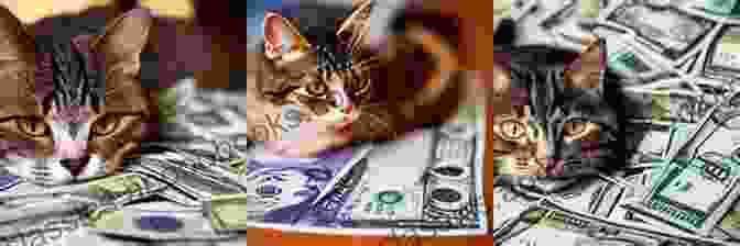 Cat Relaxing On A Pile Of Money A Cat S Guide To Money: Everything You Need To Know To Master Your Purrsonal Finances Explained By Cats