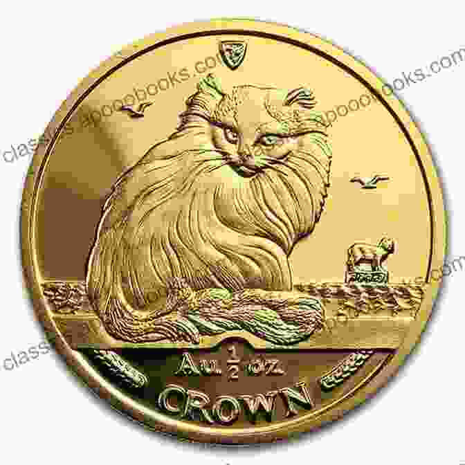 Cat Sitting On A Pile Of Gold Coins A Cat S Guide To Money: Everything You Need To Know To Master Your Purrsonal Finances Explained By Cats