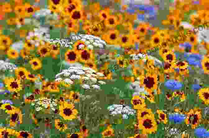 Close Up Of A Blooming Wildflower Surrounded By Lush Greenery. Shaping The Developing World: The West The South And The Natural World