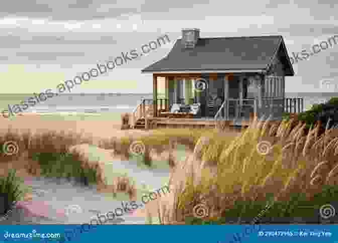 Cozy Cottage Nestled Among The Dunes On Tybee Island. Beach House Secrets (Tybee Island 6)