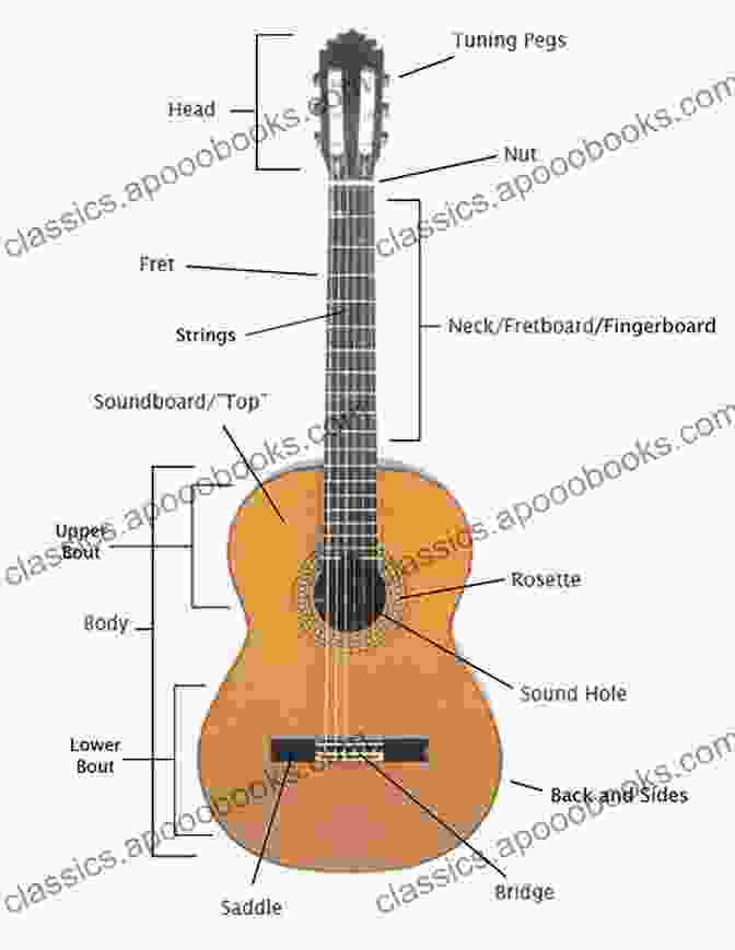 Diagram Of A Guitar, Labeled With Its Parts. Ukulele Beginners Jumpstart: Learn Basic Chords Rhythms And Play Your First Songs