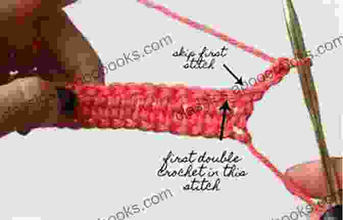 Diagram Of The Single Crochet And Double Crochet Stitches CROCHET FOR BEGINNERS: A Step By Step Guide To Learn How To Crochet Quickly And Easily Master The Art With Pictures And Illustrations Revealing The Secrets Of The Masters + Hidden Strategies