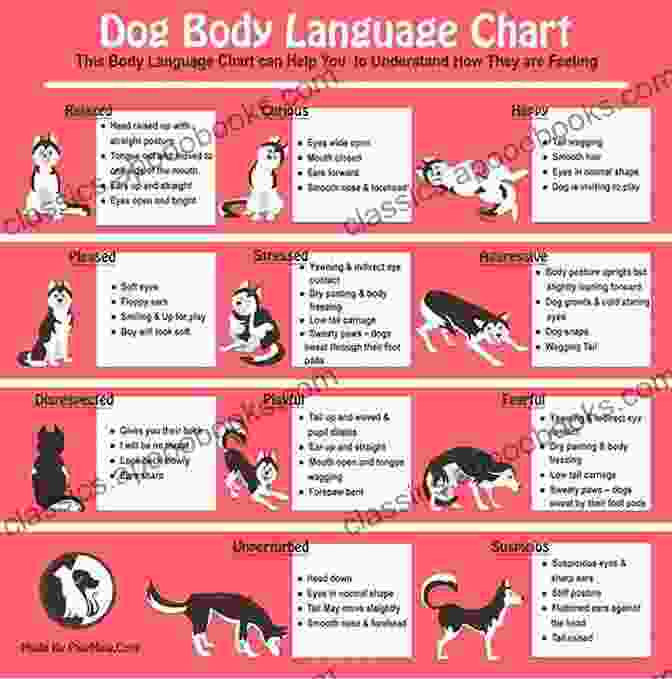 Dog Body Language Chart Let The Dogs Speak: Puppies In Training Tell The Story Of Canine Companions For Independence