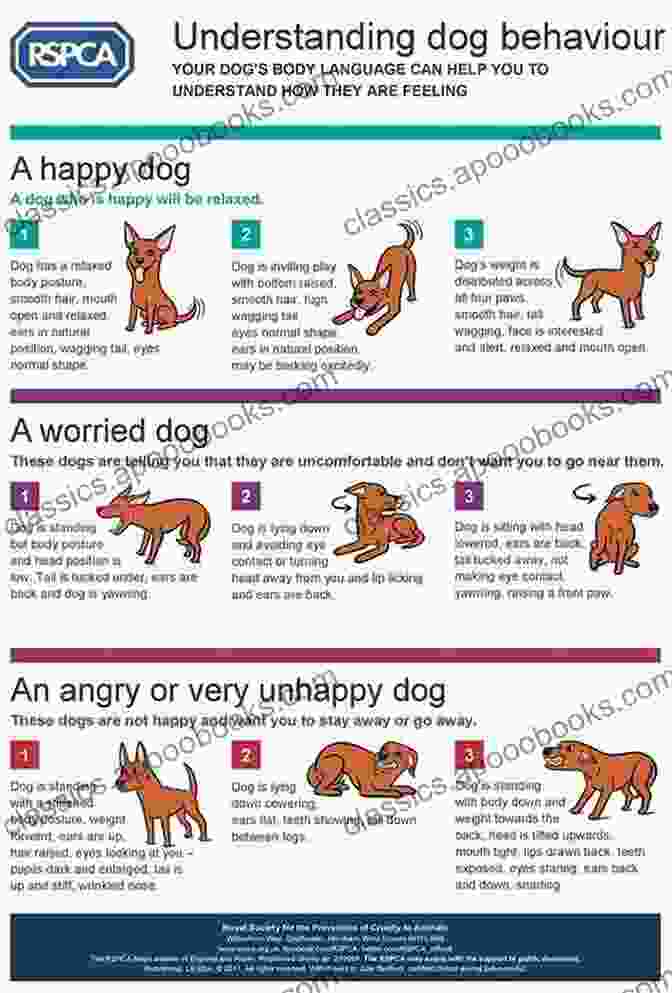 Dog Vocalizations Chart Let The Dogs Speak: Puppies In Training Tell The Story Of Canine Companions For Independence