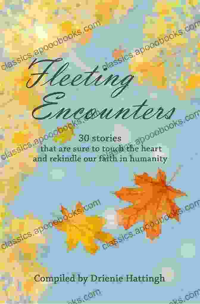 Fleeting Encounters Book Cover Featuring A Couple Embracing Against A Backdrop Of A Breathtaking Sunset. FLEETING ENCOUNTERS Maria Ann Green