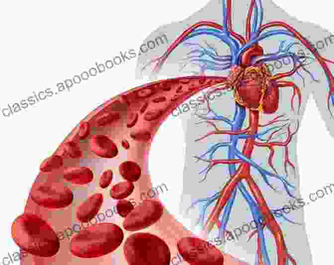 Heart And Circulatory System Responsible For Blood Flow The Concise Human Body Book: An Illustrated Guide To Its Structure Function And DisFree Downloads