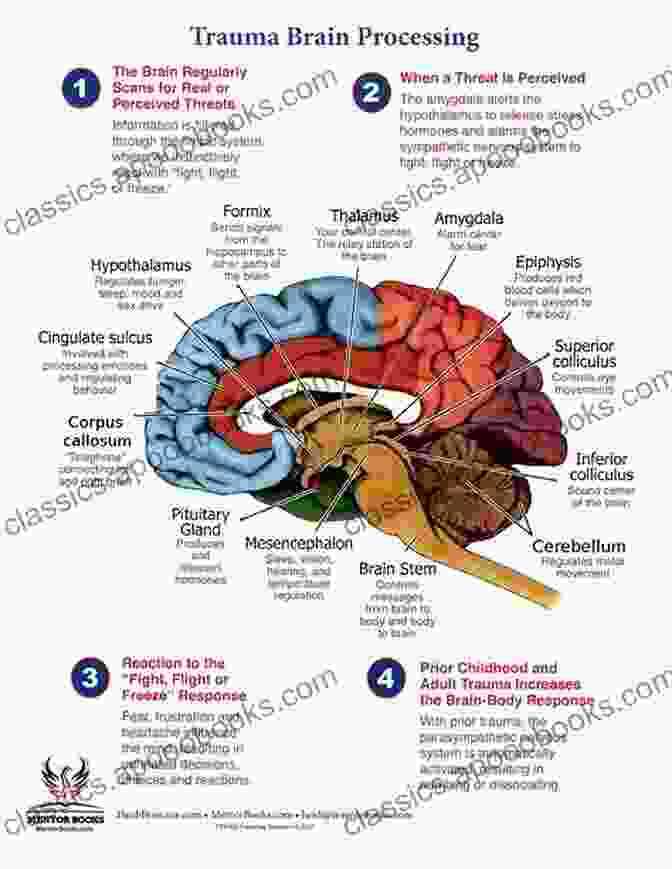 Illustration Of A Brain With Neurons Highlighted In Different Colors, Representing The Impact Of Trauma On Brain Development Psychological Trauma And The Developing Brain: Neurologically Based Interventions For Troubled Children