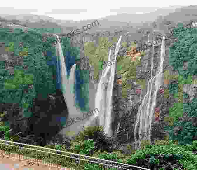 Jog Falls Waterfall Shivamogga A Wild Holiday In Shivamogga