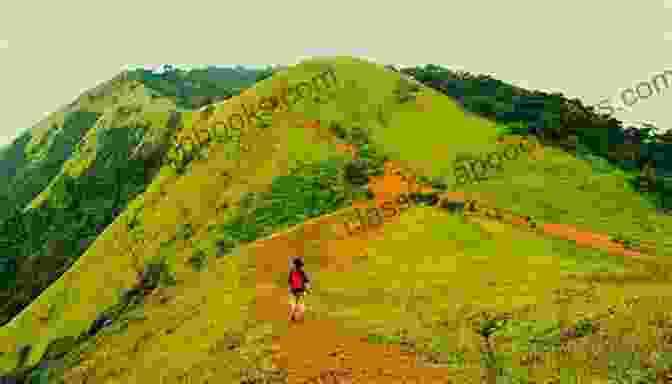 Jungle Trekking In Shivamogga A Wild Holiday In Shivamogga