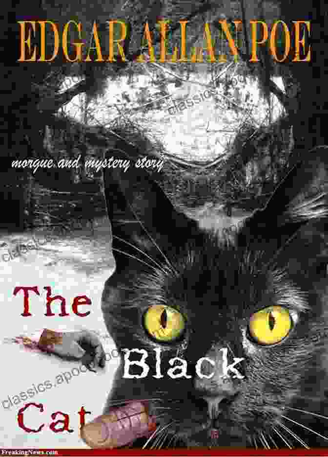 The Black Cat Illustrated Edition By Edgar Allan Poe The Black Cat Illustrated Edition