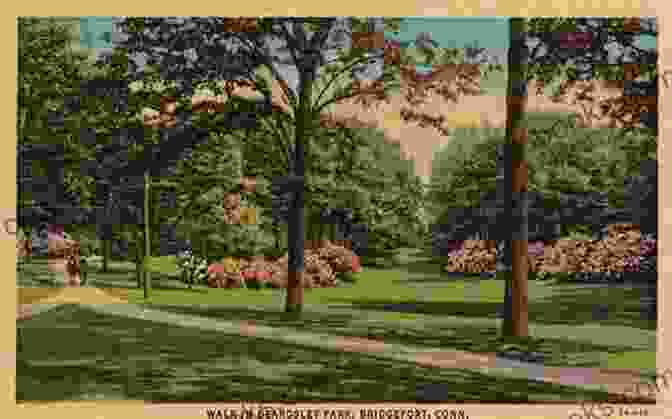 Vintage Postcard Of A Family Picnicking In Bridgeport's Beardsley Park During The 1920s. Bridgeport: 1900 1960 (Postcard History) Andrew Pehanick