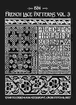 French Lace Patterns Volume 3: 16th Century Charts for Needlepoint Counted Cross Stitch