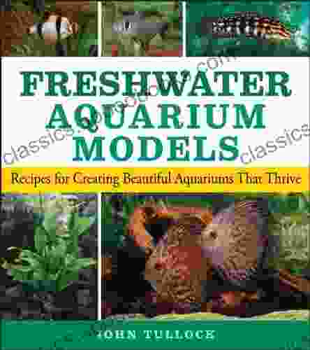 Saltwater Aquarium Models: Recipes For Creating Beautiful Aquariums That Thrive