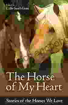 The Horse Of My Heart: Stories Of The Horses We Love