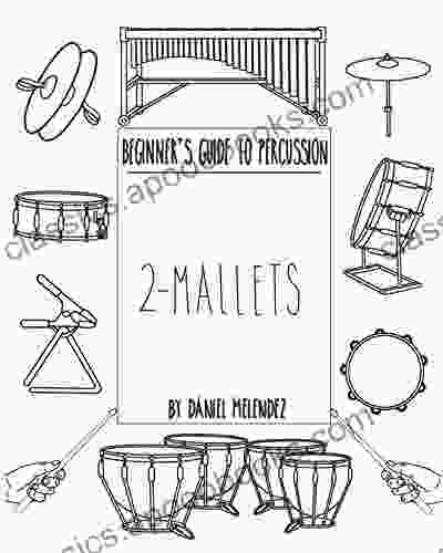 Beginner S Guide To Percussion: 2 Mallets: A Quick Reference Guide To Percussion Instruments And How To Play Them