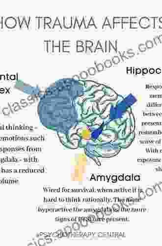 Psychological Trauma and the Developing Brain: Neurologically Based Interventions for Troubled Children