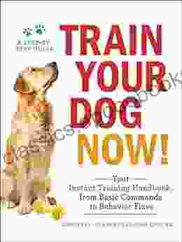 Train Your Dog Now : Your Instant Training Handbook From Basic Commands To Behavior Fixes